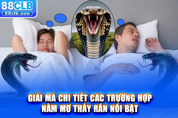 Giải mã chi tiết các trường hợp nằm mơ thấy rắn nổi bật