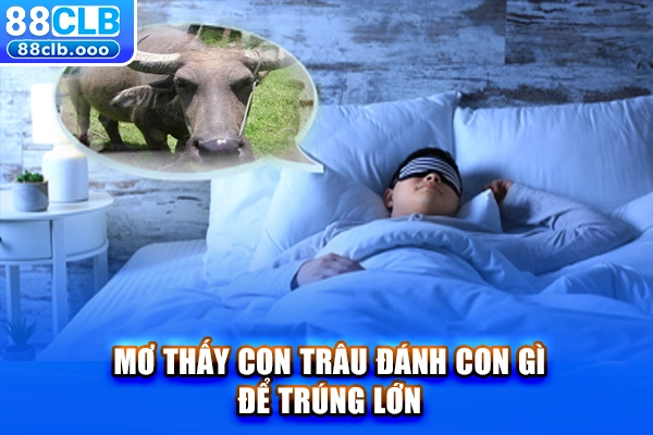 Mơ thấy con trâu đánh con gì để trúng lớn?