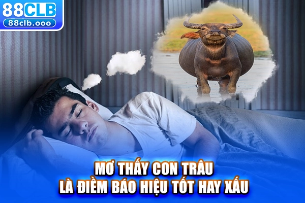Mơ thấy con trâu là điềm báo hiệu tốt hay xấu?