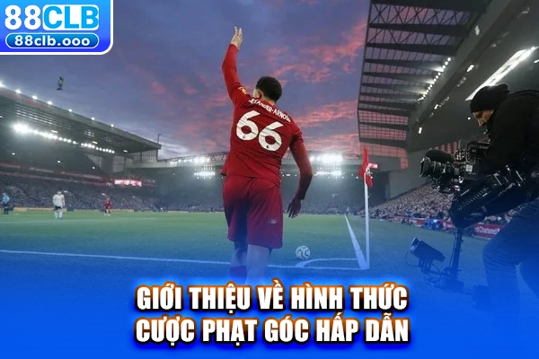 Giới thiệu về hình thức cược phạt góc hấp dẫn